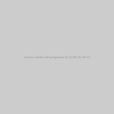 Human Lactate Dehydrogenase B (LDHB) ELISA Kit